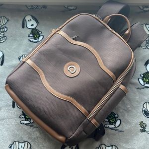 Delsey Chatelet travel backpack
